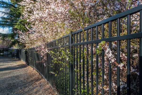 Privacy Fence Installation Services